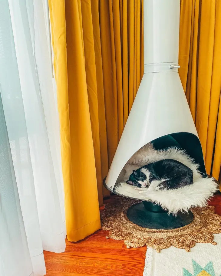 White Malm Fireplace used for a creative cat bed during the summer. Yellow Curtains, Hardwood Gunstock oak floor. Low Chair.