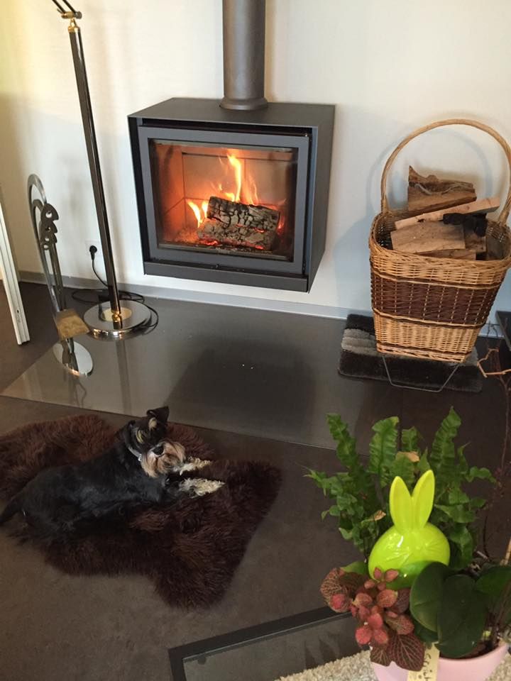 Stûv 16 Wood Burning Stove 58 and 68 Cube Fireplace