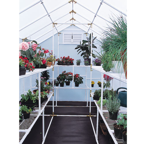 Interior view of 8' X 12' garden master small greenhouse showing floral arrangement on bench frames