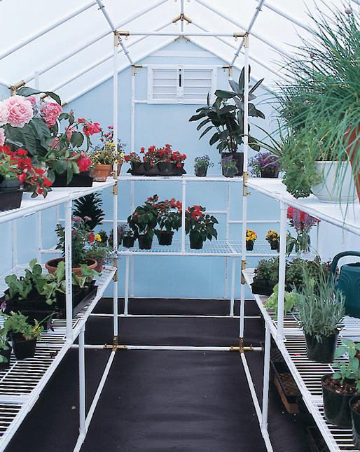 Four bench frame Small Garden Greenhouse with air vent and floral arrangement on the four bench frame