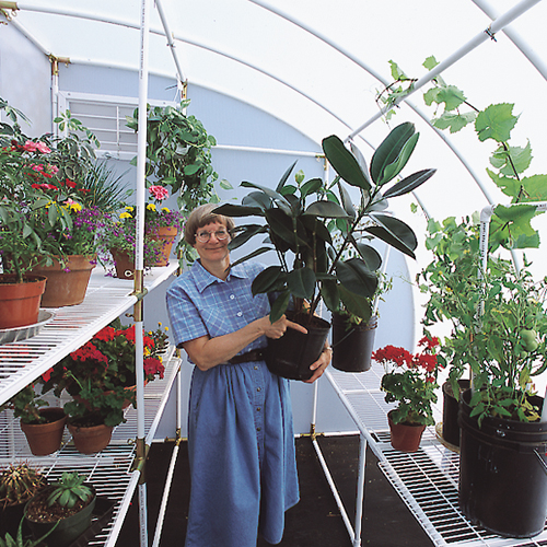 A woman holding a black vase of tall green plant is in the middle of a wall-mounted solexx harvester Small greenhouse