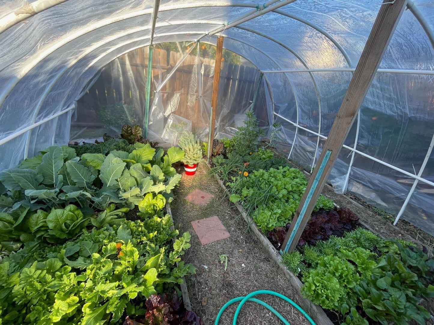 Griffin Sunmaster - 6 mil 4 year Clear UV Resistant Polythene Thermal Greenhouse Film