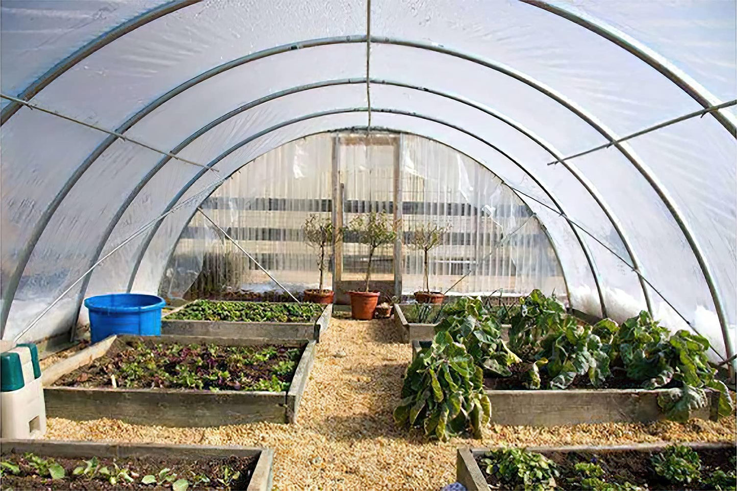 Griffin Sunmaster - 6 mil 4 year Clear UV Resistant Polythene Thermal Greenhouse Film