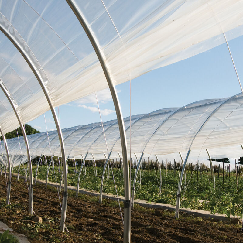 Griffin Tufflite IV - Clear 6 mil UV Protected Greenhouse Film